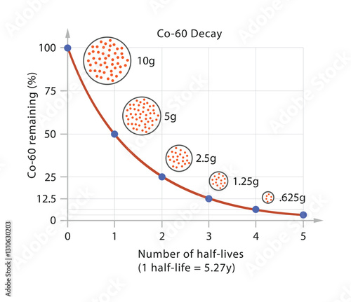 Graph of half-life and radioactive decay curve in physics