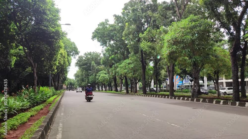 Peaceful tree-lined road with a motorcyclist riding under a bright sky Peaceful tree-lined road with a motorcyclist riding under a bright sky