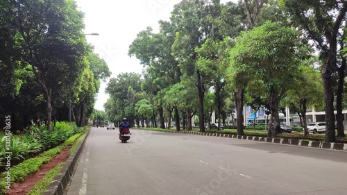 Wallpaper Mural Peaceful tree-lined road with a motorcyclist riding under a bright sky Torontodigital.ca