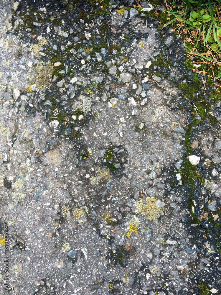 asphalt with grass and moss growing into it