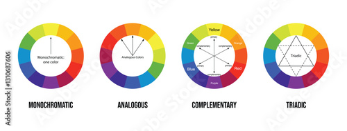 color concept filmmaker