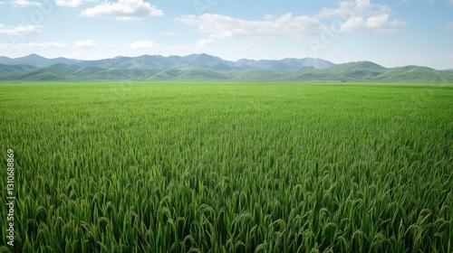 Serene Rice Paddy Field with Mountain Background