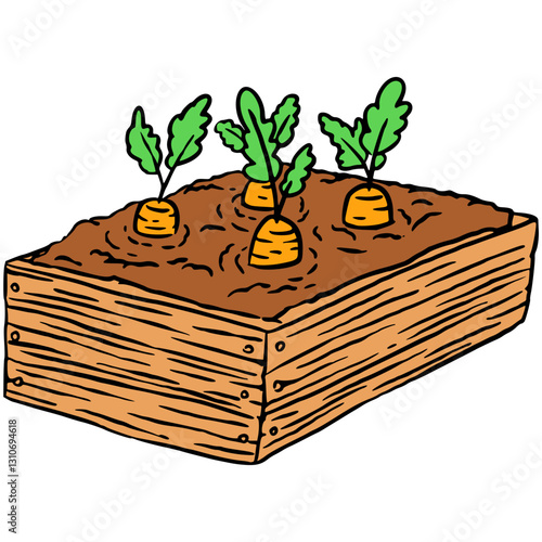 Handdrawn Wooden graden box  with seedlings. Young carrot in box with earth illistration