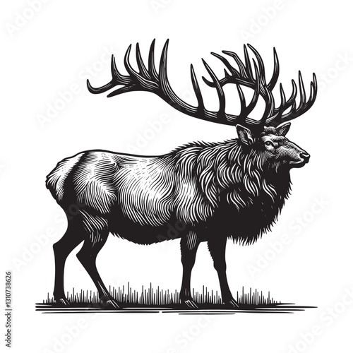 Magnificent Irish Elk: Woodcut Illustration of Extinct Giant Dee