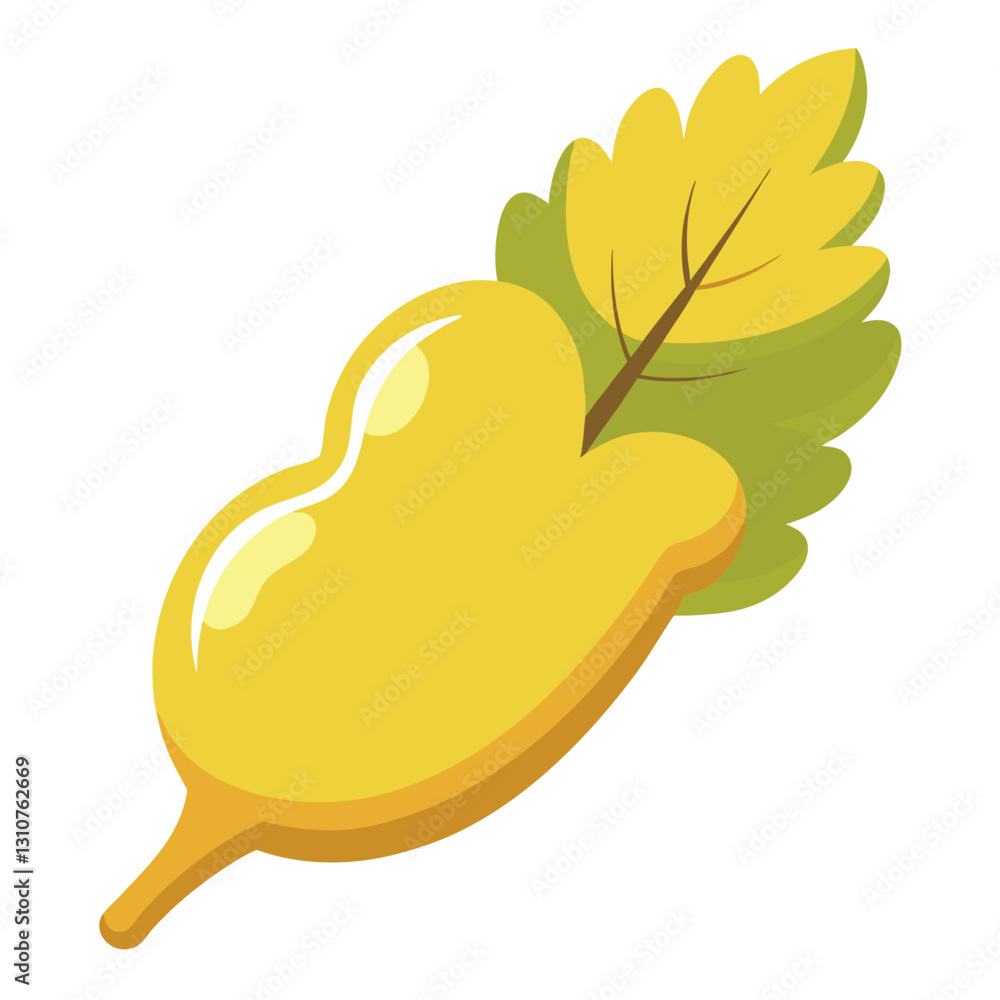Illustration-of-mustard-isolated-on-white-background. Illustration-of-mustard-isolated-on-white-background.
