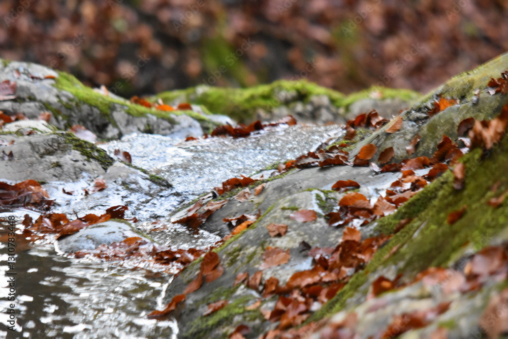 Wasserfall an einem Gebirgsbach Wasserfall an einem Gebirgsbach