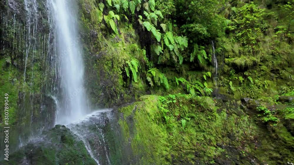 Waterfall Falling on PR9 Levada Trail Surrounded by Lush Green Exotic Vegetation, Madeira Island Waterfall Falling on PR9 Levada Trail Surrounded by Lush Green Exotic Vegetation, Madeira Island