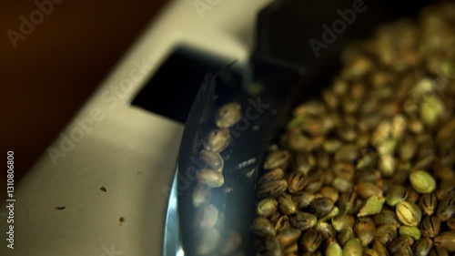 A Seed Counter Machine Counting Cannabis Seeds, Shute