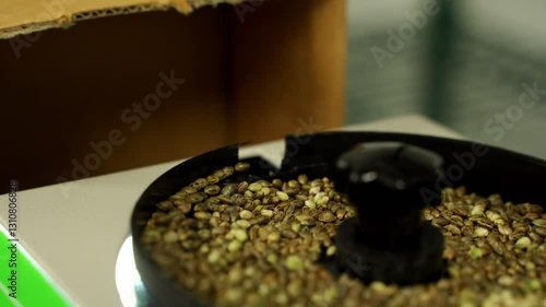 A Seed Counter Machine Counting Cannabis Seeds