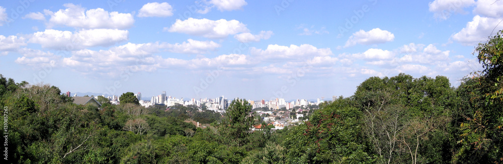 The harmony of nature and the city. Panoramic view of the city from the forest through the trees The harmony of nature and the city. Panoramic view of the city from the forest through the trees