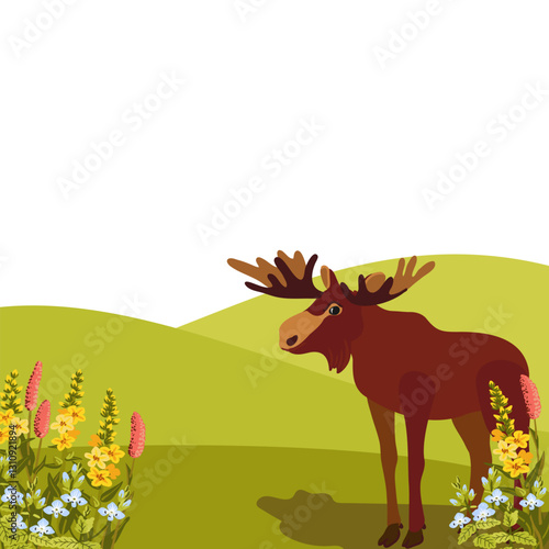 vector drawing summer flowers, moose and green hills, hand drawn illustration