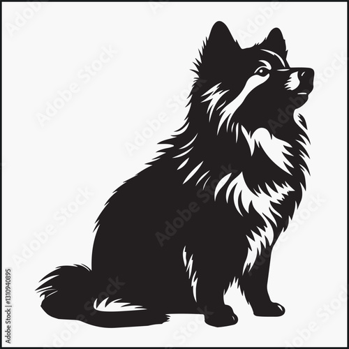 Keeshond dog 