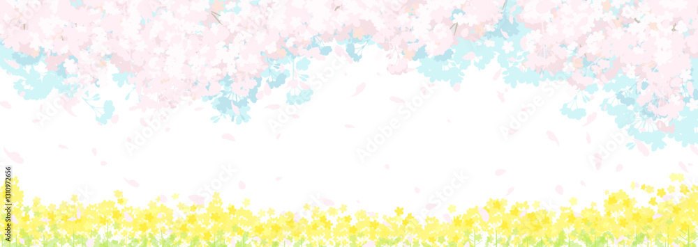 Fototapeta premium 桜と春の空 菜の花畑