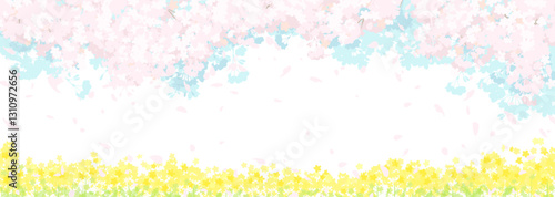 桜と春の空　菜の花畑

