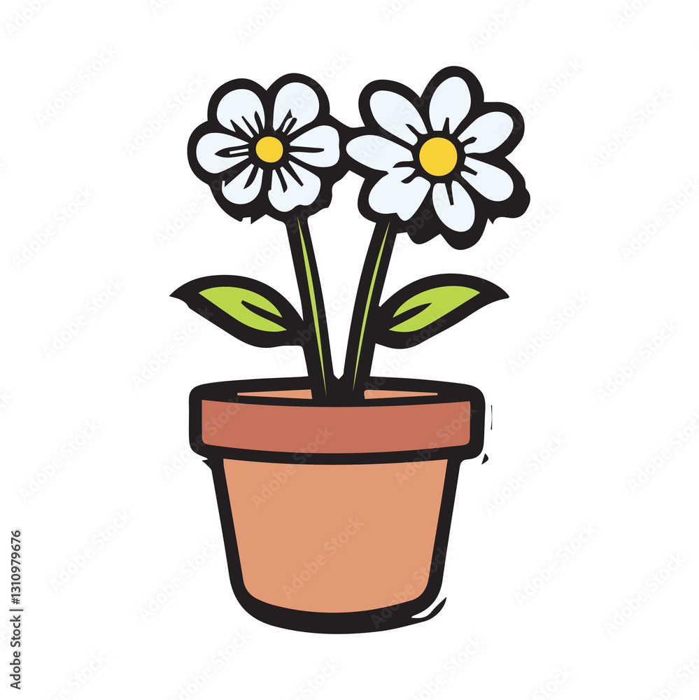 Fototapeta premium Two white daisies in a terracotta pot