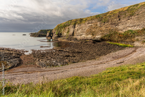 The cliffs and North Sea coast in Crawton, Scotland, UK