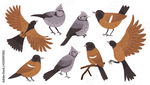 Set of 8 adorable imaginary birds in different poses and in flight. Wildlife. Cute songbird. Protection of endangered species. Clipart elements for creating ornaments and patterns. Vector illustration