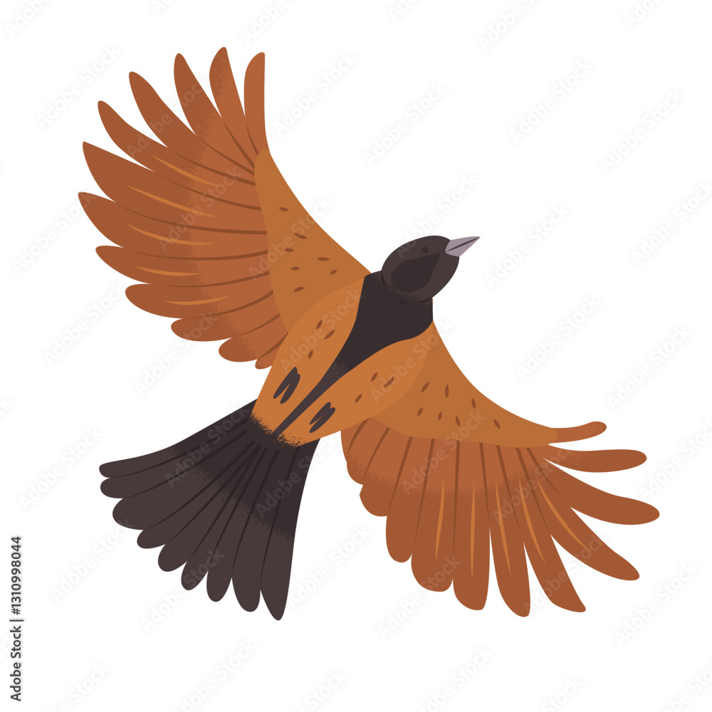 Fototapeta premium Fictional red bird in flight with spread wings. Bottom view. Wildlife. Cute songbird. Endangered species protection. Clipart elements for creating ornaments and patterns. Vector illustration.