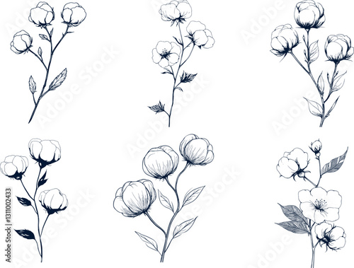 A stylish collection of cotton flower abstract line art vector illustrations.