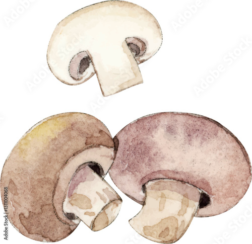 mushrooms isolated on white