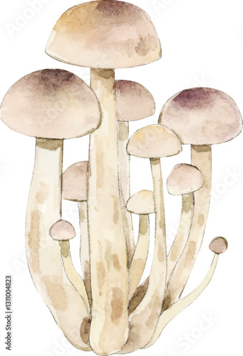 mushrooms on a white background