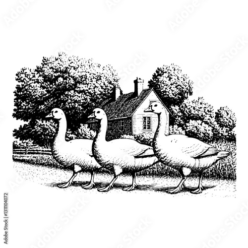 Three geese strolling past a quaint country cottage surrounded by lush trees and an idyllic landscape in a vintage engraving style