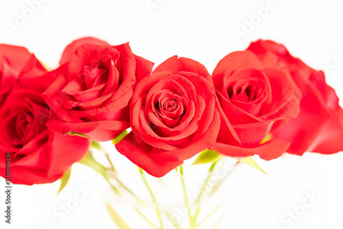 Red roses in a glass vase close up