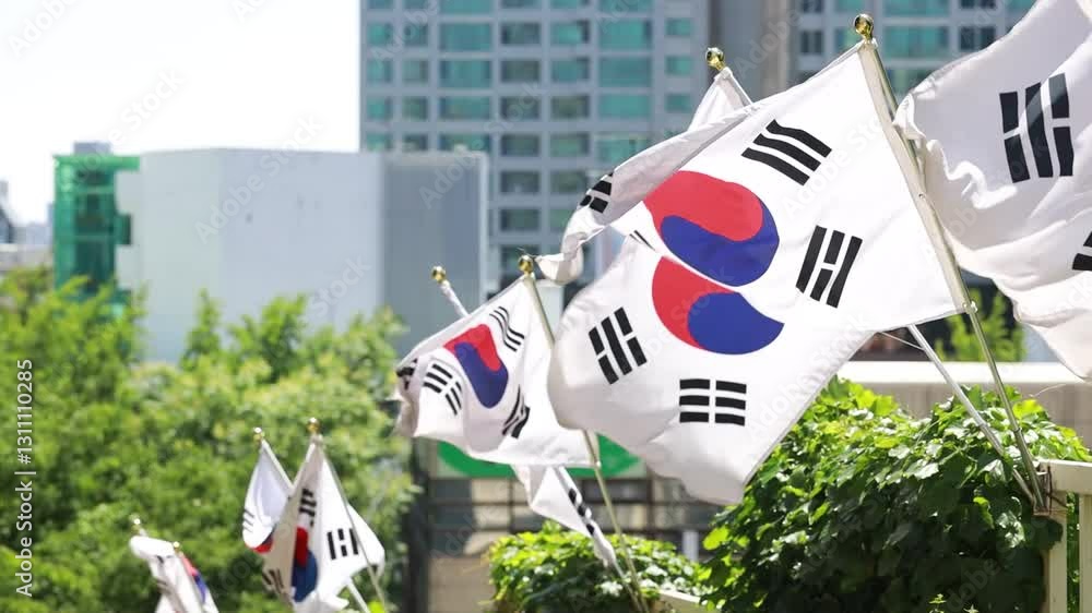 view of the city with Korean flag view of the city with Korean flag
