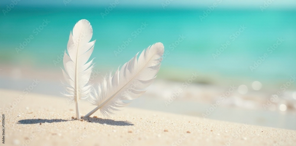 Single white feather on sandy beach, turquoise water visible , calm, blue, sky Single white feather on sandy beach, turquoise water visible , calm, blue, sky