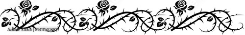 Border of Roses and thorns