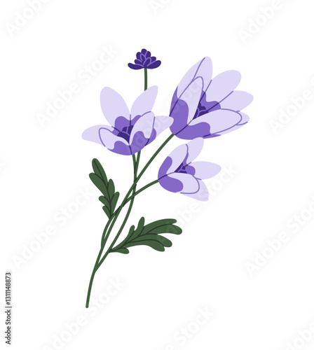 Branch of bluebell. Cute bellflower, campanula. Wild flower with blue petals ang green leaves. Wildflower, blossom meadow plant, field flora. Flat isolated vector illustration on white background