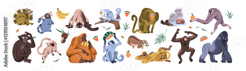 Set of different funny monkeys. Happy primate characters have fun, eat fruit. Cute jungle animals: exotic gibbon, chimpanzee, lemur, gorilla. Flat isolated vector illustrations on white background
