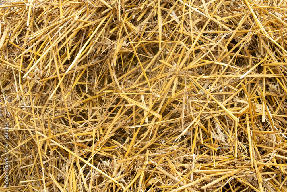 A pile of straw is shown in a close up A pile of straw is shown in a close up