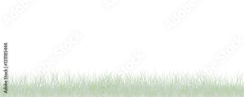 Grass border, vector illustration. Vector grass, lawn. Grass png, lawn png. Green grass with sun glare.	
