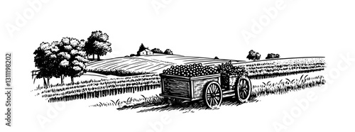 Engraved vector illustration of a vineyard cart filled with grapes in a scenic landscape