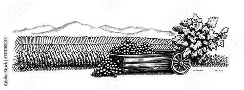 Vector engraving of a grape harvest scene with a cart full of grapes in an outdoor vineyard setting