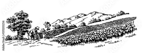 Engraved vector design of a farmer tending to crops on a hillside in a rural landscape at dawn