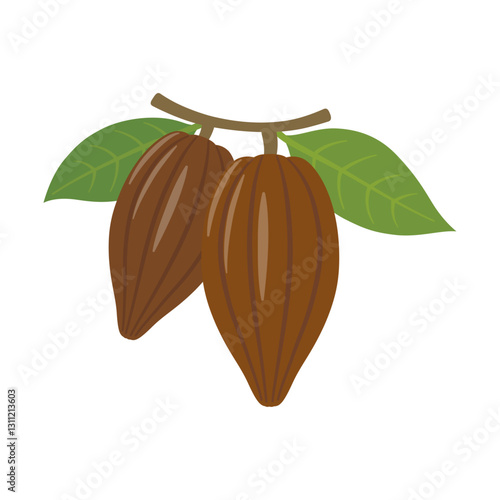 葉っぱのついたカカオ豆のイラスト_cacao bean