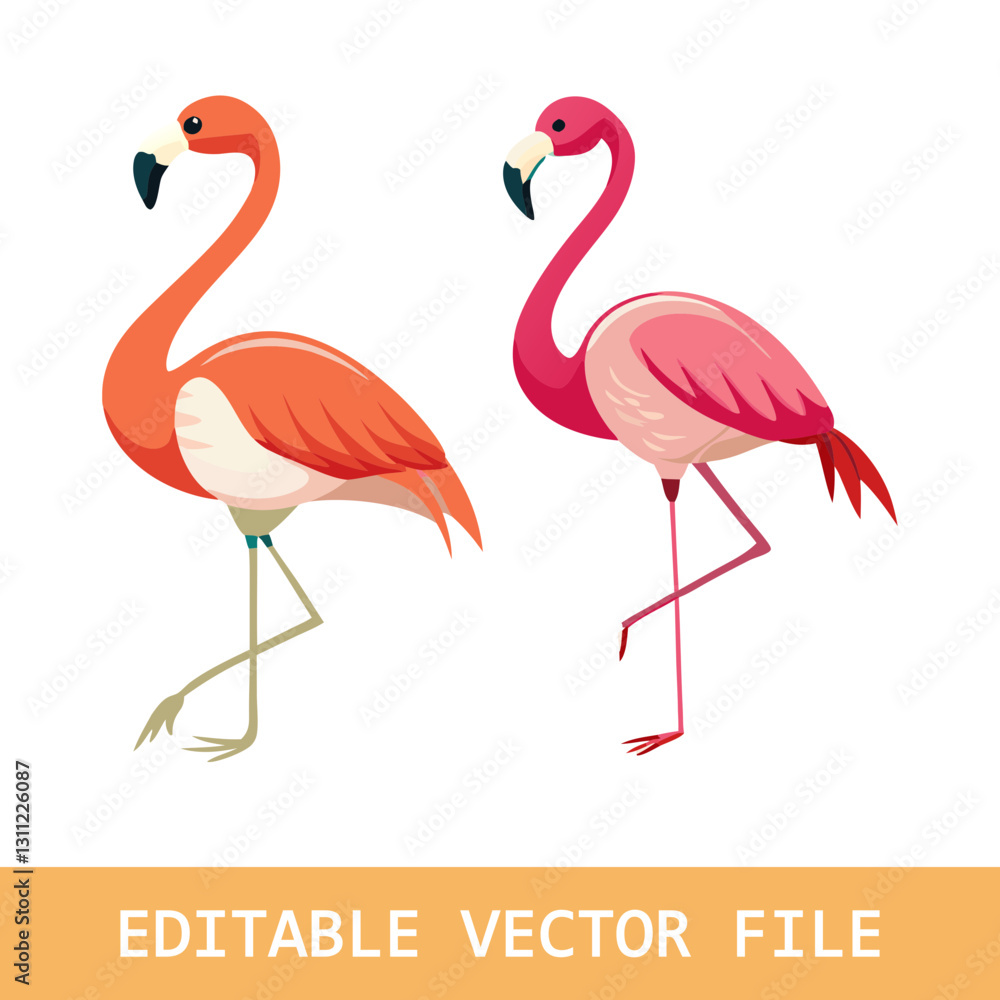 Obraz premium Flamingo bird illustration design