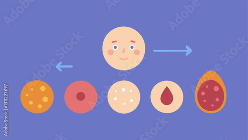 TimeLapse Effect A sequence of small frames illustrating the progression from dull skin to radiant skin highlighting the role of exosomes in the regeneration process.