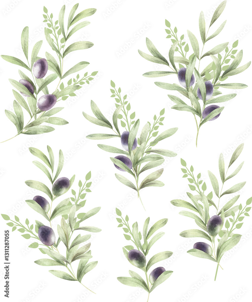 Fototapeta premium Set of vector watercolor frame of branches with olive fruits and leaf.