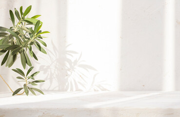 Vintage table top for product display and tropical plant branch on abstract cement wall background with dappled window sunlight shadows