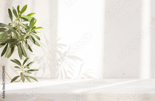 Vintage table top for product display and tropical plant branch on abstract cement wall background with dappled window sunlight shadows