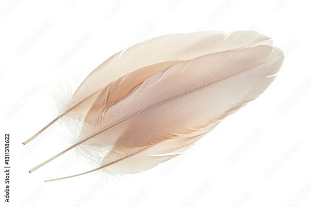 Dreamlike composition of soft floating feathers against a white background showcases delicate textures and ethereal beauty Dreamlike composition of soft floating feathers against a white background showcases delicate textures and ethereal beauty