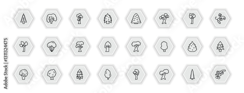 outline icons set - nature concept. vector icons included american larch tree, shagbark hickory tree, white spruce tree, shadbush and more.