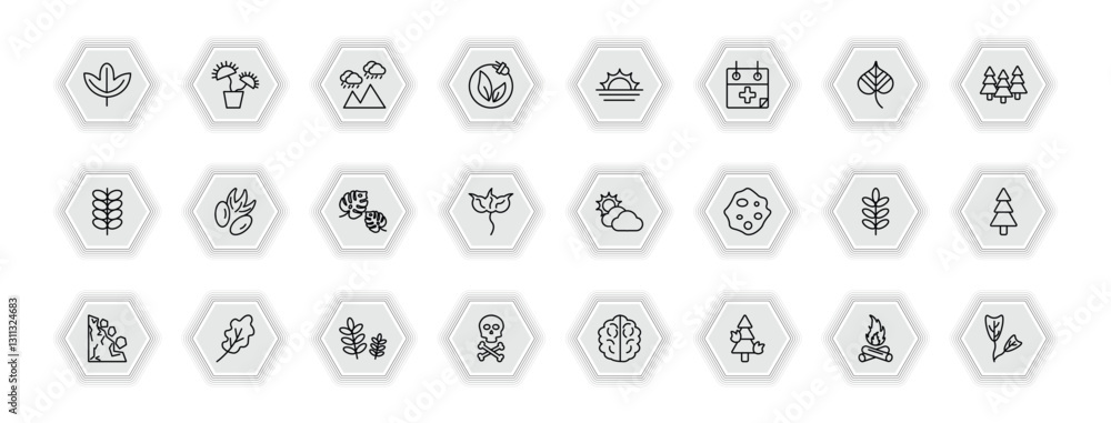 outline icons set - nature concept. vector icons included sassafras leaf, rainy landscape, landscape inside frame, pecan leaf and more. outline icons set - nature concept. vector icons included sassafras leaf, rainy landscape, landscape inside frame, pecan leaf and more.