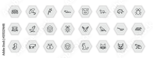 outline icons set - animals concept. vector icons included moth, gecko, hog, hawk and more.