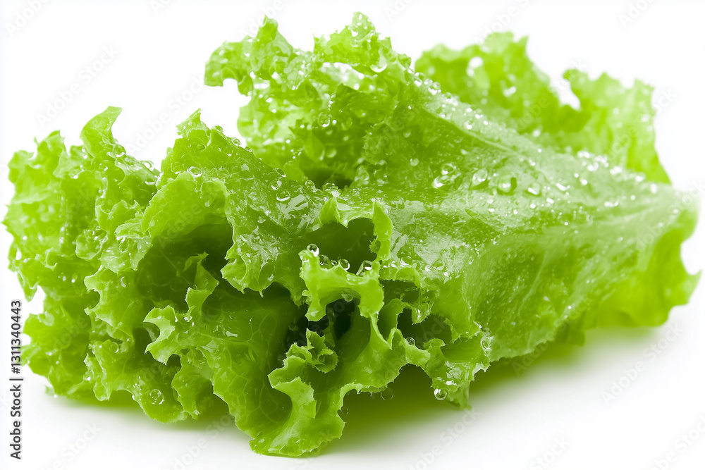 Crisp lettuce leaves adorned with water droplets capture the essence of freshness. Illuminated by soft light, the vivid greens invite a sense of nature's purity, perfect for salads or garnishments Crisp lettuce leaves adorned with water droplets capture the essence of freshness. Illuminated by soft light, the vivid greens invite a sense of nature's purity, perfect for salads or garnishments