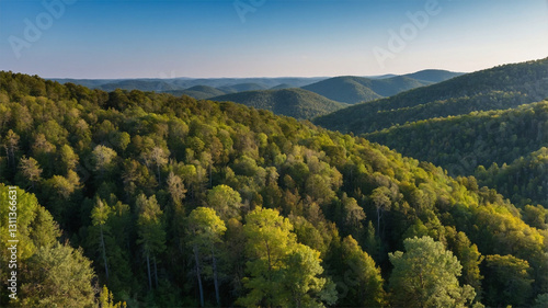 Wallpaper Mural Tranquil Forest Stream with Grass and Sunlit Trees at Sunset, Beautiful Nature Landscape Torontodigital.ca
