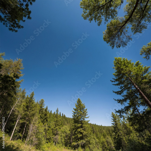 Wallpaper Mural Tranquil Forest Stream with Grass and Sunlit Trees at Sunset, Beautiful Nature Landscape Torontodigital.ca